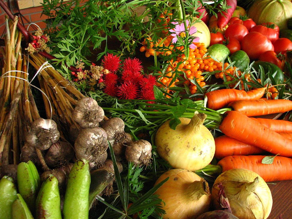 What are Organic Farming Methods?