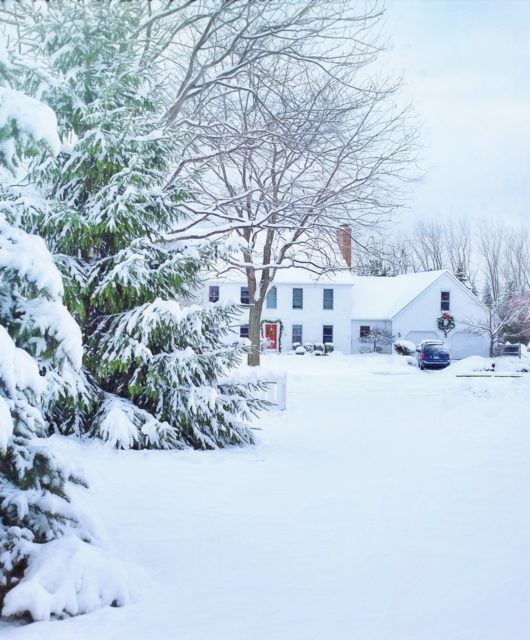 winter